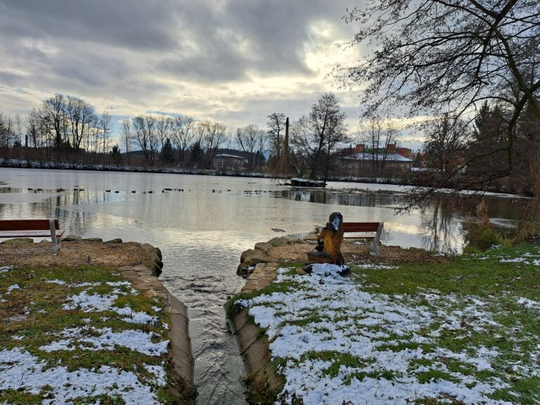Environmental photo